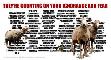 counting on your ignorance