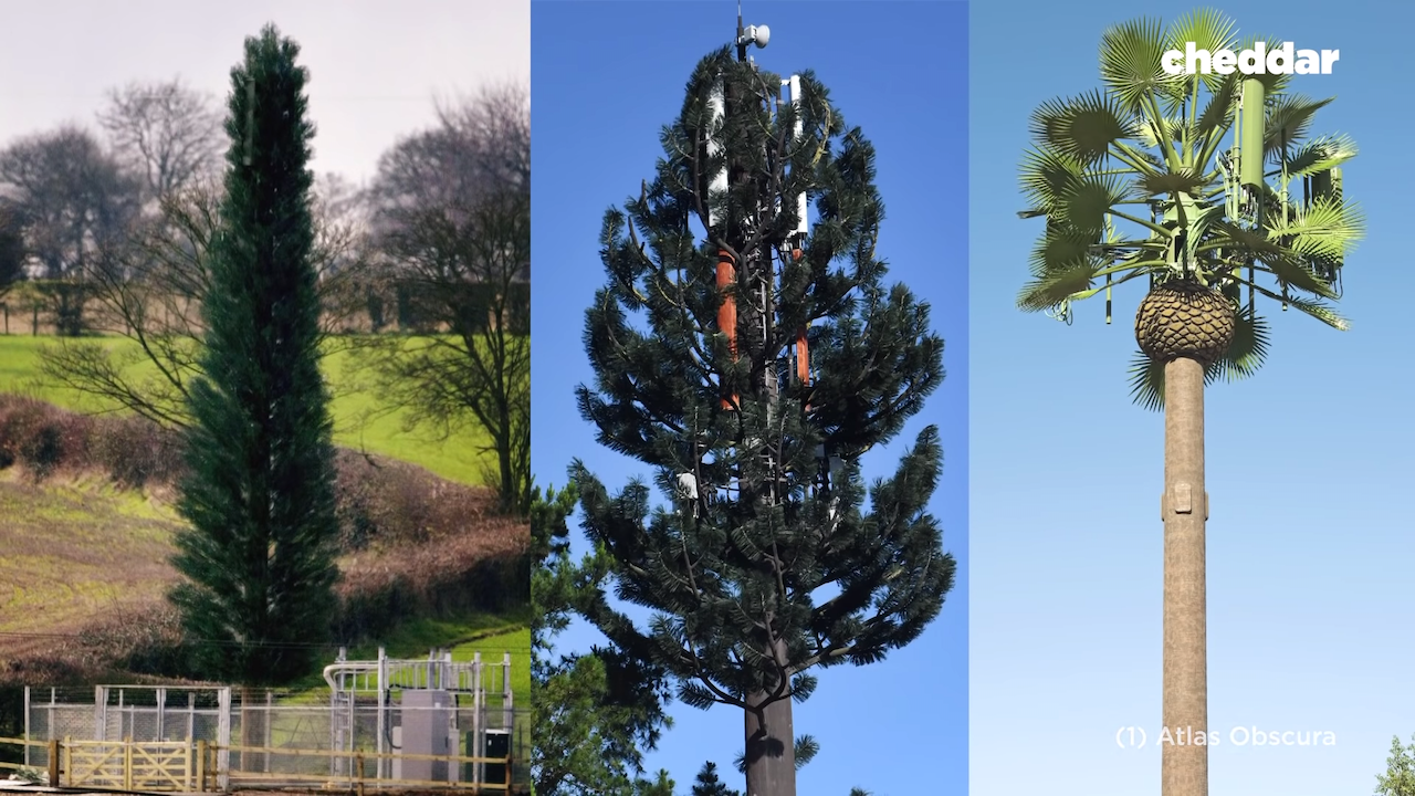 How-Fake-Cell-Tower-Trees-Took-Over-America-